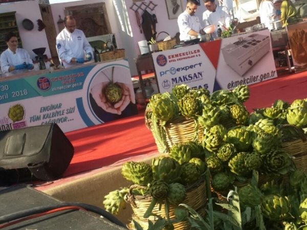 4. Uluslararası Urla Enginar Festivali 