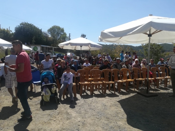 KAVACIK ÜZÜM FESTİVALİ