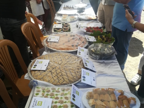 KAVACIK ÜZÜM FESTİVALİ